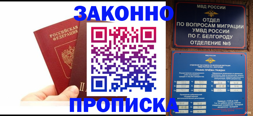 временная регистрация для школы в Заринске